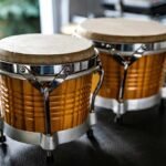 Bongo – Fundamentals 1